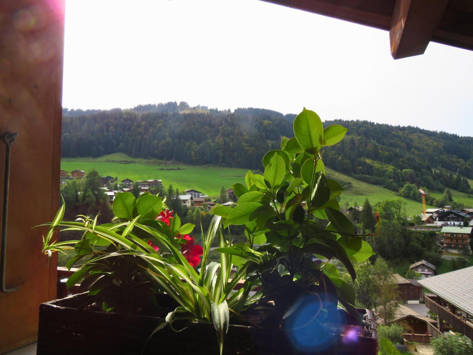 Chalet Chez Gaby 2 - Vue Imprenable Au Calme - Proche Du Centre Морзін Екстер'єр фото