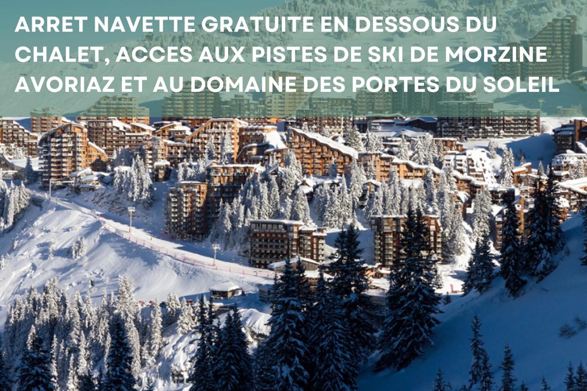 Chalet Chez Gaby 2 - Vue Imprenable Au Calme - Proche Du Centre Морзін Екстер'єр фото